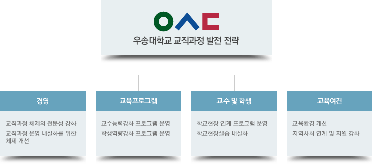 발전 전략